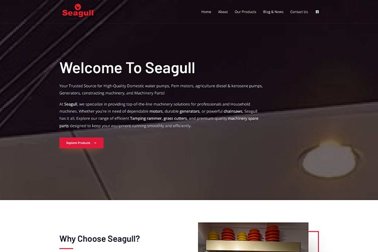 seagullint_com__we1b_